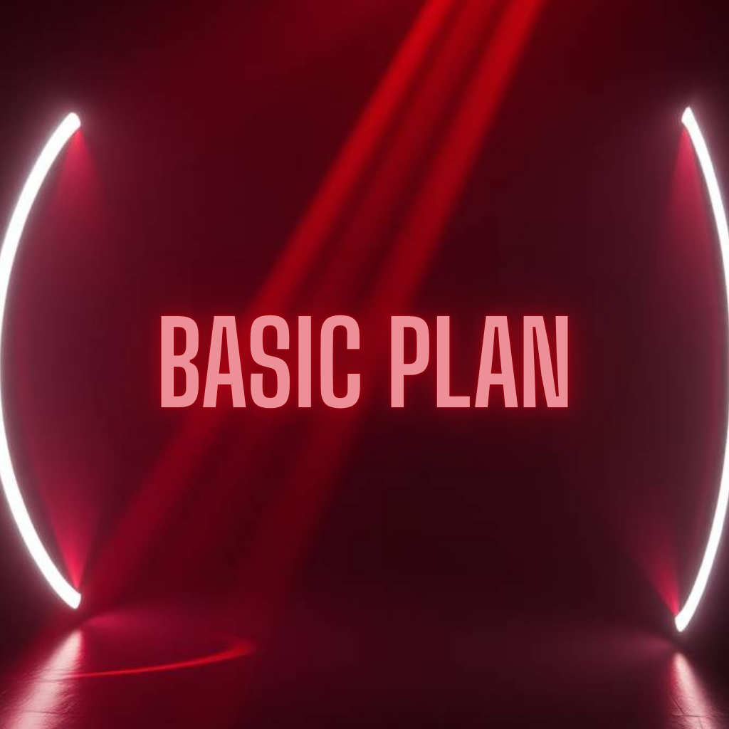 Basic Plan